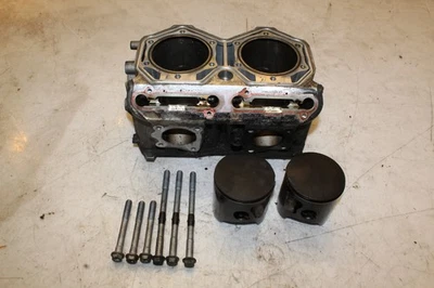 2022 Ski-doo Summit Edge 850 Engine Motor Cylinder Bore Jug & Piston 420413545 - Imagem 1 de 4