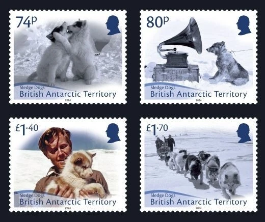2024/01- BAT-ANTÁRTIDA BRITÁNICA - PERROS TRINEO 4V juego completo MNH**F Foto 1 de 1