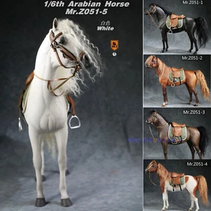 Mr.Z 1/6 Caballo Árabe y Arnés Équidos Árabes Corcel Coleccionista Modelo Decoración Estatua - Imagen 1 de 33