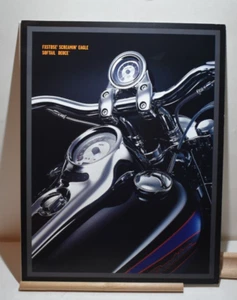 2004 Harley Davidson sales brochure FXSTDSE2 Screamin Eagle Softail Deuce   H1 - Bild 1 von 3