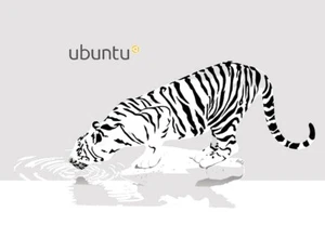 Dell 7490 Laptop Ubuntu Linux 8th Gen i5-8350U 16GB 480GB SSD (5 Year Warranty) - Picture 1 of 8