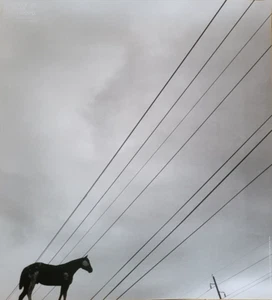 Graciela Iturbide - Original exhibition Poster - Fondation Cartier Paris - 2022 - Picture 1 of 8
