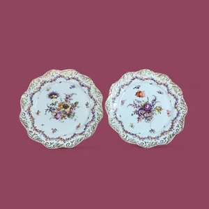 Pair of Antique Hand Painted Dresden Botanical Plates - Picture 1 of 11