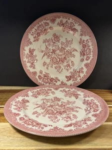 Asiatischer Fasan Rot Transfergeschirr 2 Essteller 10 3/4 Zoll Royal Stafford - Bild 1 von 7