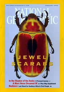 NATIONAL GEOGRAPHIC MAGAZINE Volume 199 #2 February 2001 *Ships Free w/$35 Combo - Bild 1 von 2