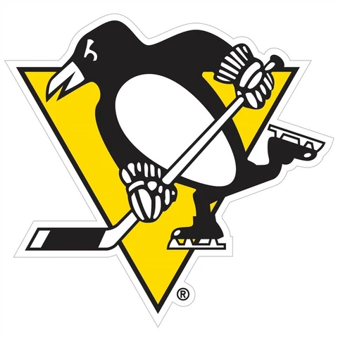 Pittsburgh Penguins 8" Magnet Outdoor Rated Vinyl Auto Fridge NHL Hockey Team Cover