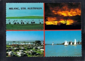 D7380 Australia SA Milang Lake Alexandra 4 images Pitt postcard - Bild 1 von 2