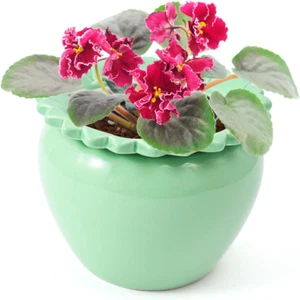 African Violet Flower Pot Ceramic Self Watering Planter Pot 6.5 * 4.6 * 4 inch - Picture 1 of 11