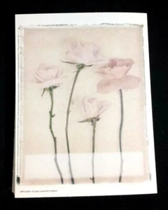 Rose Quartet 50 self-adhesive BOOKPLATES vtg Antioch Publishing Claire Lerner - Picture 1 of 3