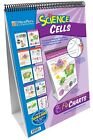 NewPath Learning Cells Laminated, Double-Sided “Write-On/Wipe-Off” Flip Chart...