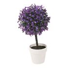 URBN Living Artificial Boxwood Flower in Planter 27H x 13cmW x 13cmD, Purple