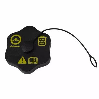 Tapa de depósito original Ford F-150 Expedition 2004-2008 F65Z-3A006-A Foto 1 de 4