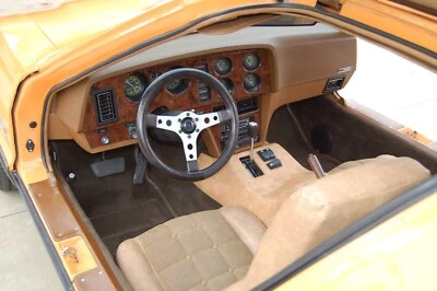 74-76 BRICKLIN DASH AND DOOR TRIM--ROSE WOOD-BURL WOOD-ASH-CARBON FIBER-ABS - Image 1 of 4