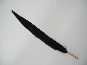 BLACK FEATHERED QUILL PEN GOLD COLOURED METAL NIB L: 35cm - Picture 1 of 5