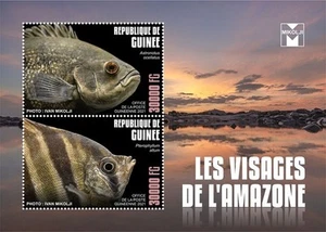 Guinea - 2021 Amazonas Gesichter, Fische - 2 Briefmarken Block - GU210109a - Bild 1 von 1