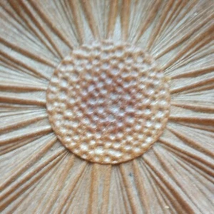 Retro Margarita Frutero Dialene Mejor Criada Marrón Plato Flor Plástico x 2 - Imagen 1 de 12