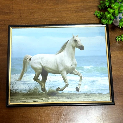 White Horse Photo Framed Running on Beach 8x10 - Image 1 of 4