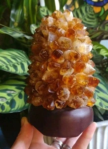 Natural Citrine Rock Quartz Crystal Cluster Night Light Lamp Wood Base Brazilian - Picture 1 of 13