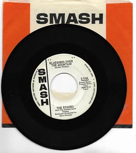 THE ECHOES-SMASH 1766 PROMO DOOWOP 45 RPM BLUEBIRDS OVER THE MOUNTAIN VG++ - Picture 1 of 1