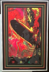 Blunt Zeppelin 2014 firmato da Blunt Graffix Glow in the Dark. 36 X 24 - Foto 1 di 3