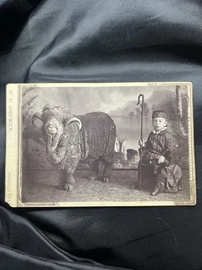 MERINO SHEEP CABINET PHOTO WITH BOY IN COSTUME SHENANDOAH IOWA - Imagen 1 de 2