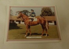 GDS Collector card - Great Racehorses of Our Time - Grundy