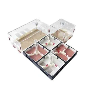 3D Acrylic Ant Farm Housing Multiple Chambers Ant Nests Formicarium Pet Ants DIY - Picture 1 of 7