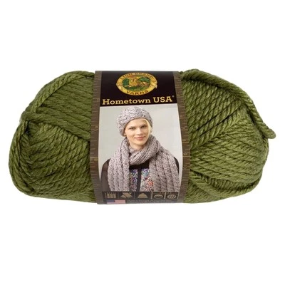 NWT Lion Brand Yarn 135-176 Hometown Bulky Yarn, Galveston Green USA 81YD/M - Image 1 of 3