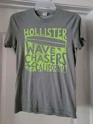 Camiseta Hollister para niño manga corta gris y verde lima Wave Chasers CA, talla grande Foto 1 de 4