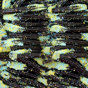 Liquorice Wands Barratt Sweets Candy - Retro Party Treats Pick and Mix - Picture 1 of 1