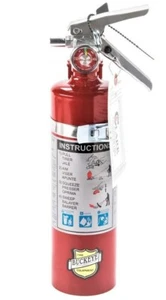 Buckeye 13315 ABC Multipurpose Dry Chemical Fire Extinguisher 2.5 lb - Picture 1 of 2