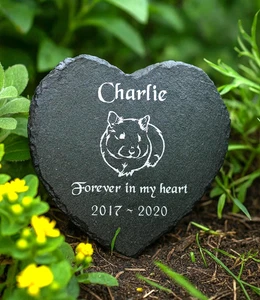 Placa marcadora de tumba corazón piedra conmemorativa hámster mascota grabada personalizada - Imagen 1 de 6