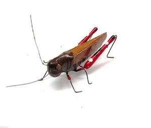 Posta Pro1 - Calamita Magnete in Terracotta Cavalletta Fridge Magnets GRASSHOPPE - Foto 1 di 2