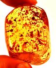 84.30 Cts. Natural Genuine Old Baltic Amber Untreated Certified Gemstone