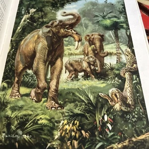 Prehistoric Animals by J. Augusta and Z. Burian Spring Books 1956 - Picture 1 of 7