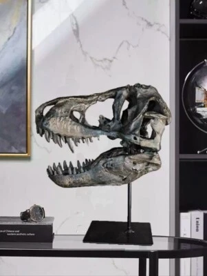 T-rex resin skull replica model decor - Image 1 of 4