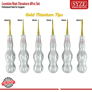 Juego de 6 elevadores de raíces 3 redondos 3 planos (2-3-4 mm) instrumentos dentales puntas doradas - Imagen 1 de 3
