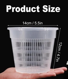 Clear Plastic Pots for Orchids, Size 5.5" (1 Pot) - Picture 1 of 5