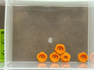 LEGO Teile - orange Platte, rund 1 x 1 mit Blumenrand - Nr. 24866 - MENGE 5 - Bild 1 von 1