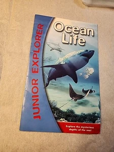 Buch-Studio Junior Explorer Ozeanleben Erkunde die geheimnisvollen Tiefen des Meeres - Bild 1 von 4