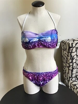 Bikini Lab Purple Bandeau 2 Piece Bikini size L Swimsuit NWT - Image 1 of 3