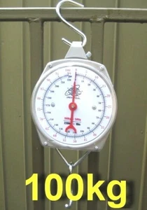 Cushioning Box Packed Quality Mechanical Hanging Metal Scale up to 100 kg - Picture 1 of 5