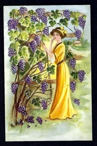 Postal de principios de 1900, dama de amarillo, vid de uva, campo - Imagen 1 de 2