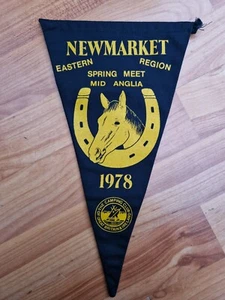 Newmarket Orientale Région 1978 Ressort Meet Camping Caravan Club Fanion Drapeau - Picture 1 of 2