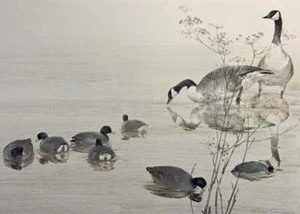 Thomas Quinn - Sweet Fennel with Coots and Geese - S/N Litho - Signed - MINT - Picture 1 of 1