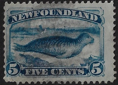 Newfoundland 1894, Scott 55/ SG 59a used, 5c bright blue seal, VG center (a7080c - Image 1 of 2