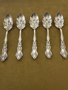1906 MOSELLE AMERICAN INTERNATIONAL SILVER SET OF 5 FRUIT GRAPEFRUIT SPOONS RARE - Picture 1 of 14