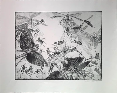 MILENA AGUILAR - Heuschrecken. Handsignierte Radierung, Griffelkunst 338 C3. - Bild 1 von 4