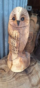 KETTENSÄGE SCHNITZEULE GROSSE GESCHENKIDEE ULME HOLZ HAUS GARTEN SKULPTUR KUNSTHANDWERK - Bild 1 von 4