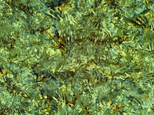 Tela batik de algodón floral verde oliva por 1/2 yarda - Imagen 1 de 2